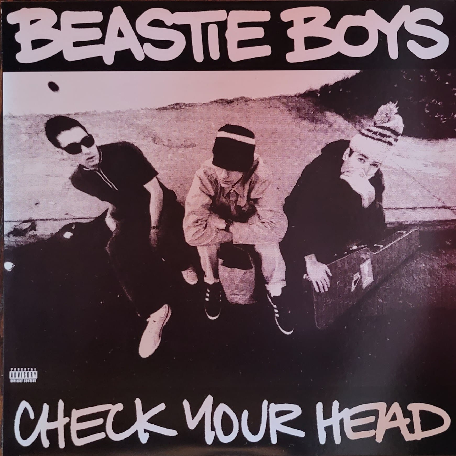 Beastie Boys — Check Your Head