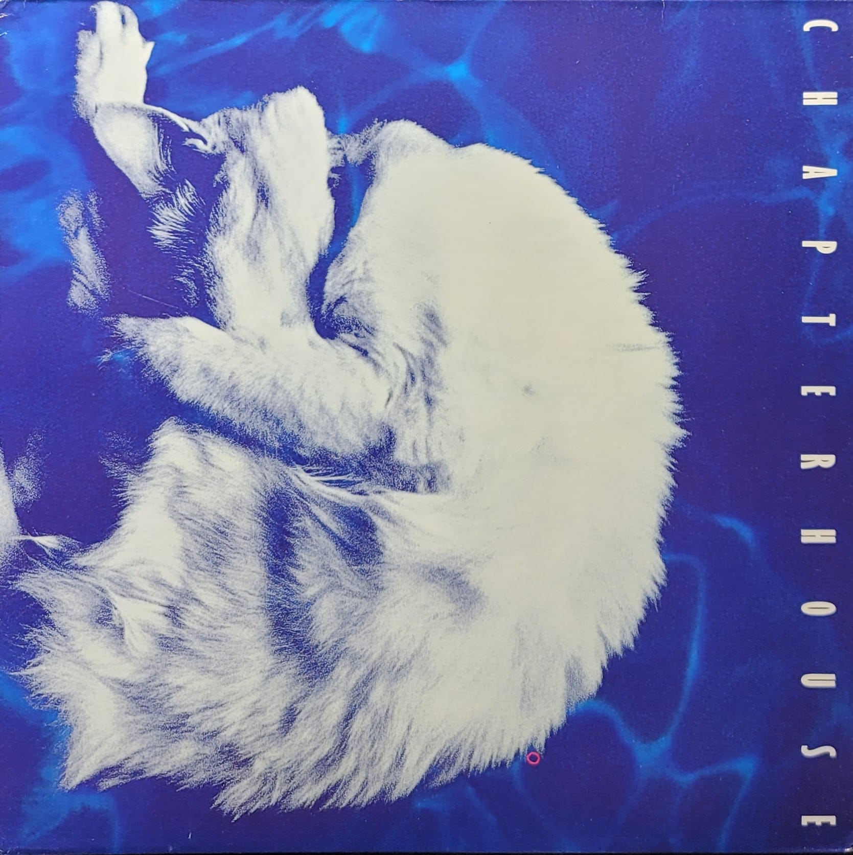 Chapterhouse — Whirlpool — Original