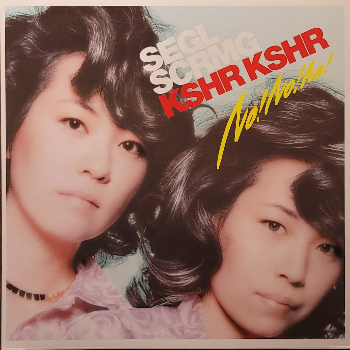 Seagull Screaming Kiss Her Kiss Her — No! No! No! — Original