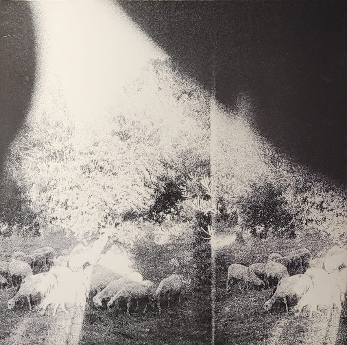 Godspeed You! Black Emperor - Asunder, Sweet And Other Distress - Original